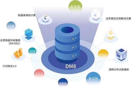 活字格兼容達夢dm8,低代碼支持數據庫國產化